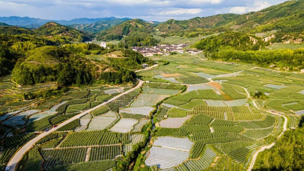 屏南县岭下乡富竹村图片