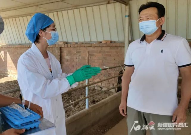 二十大代表风采丨方先珍：情系农牧区的援疆专家_腾讯新闻