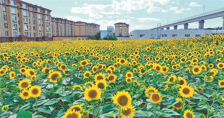 5%,固定资产投资增幅68% 鹤岗市兴安区跳起摸高 成绩亮眼_腾讯新闻