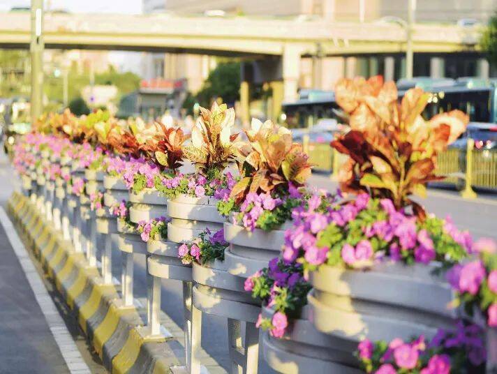 5819万盆鲜花5组立体花卉造型济南市中盛装迎国庆