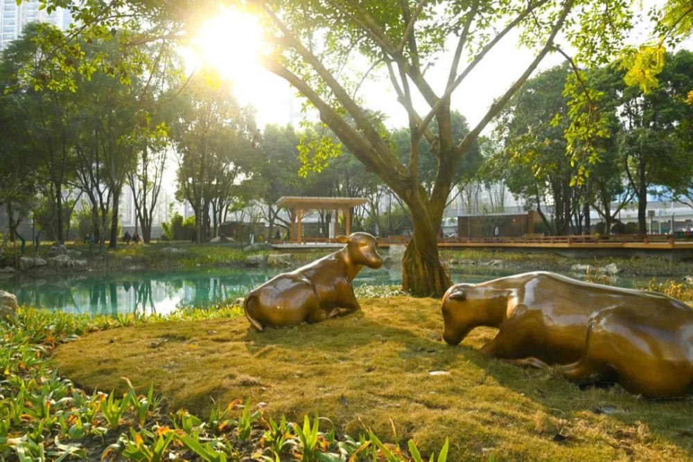 属于成都的节日仪式感金牛公园焕新升级300余株芙蓉扮靓回家路