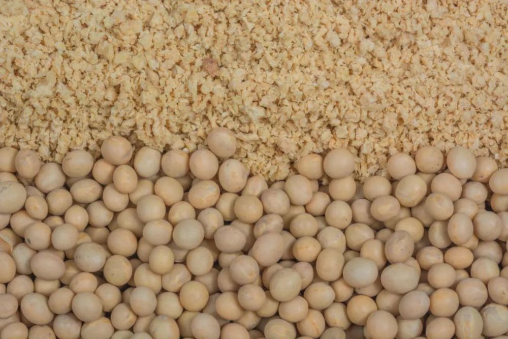 豆粕减量替代行动究竟为何