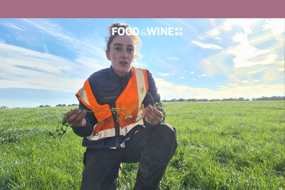 爱尔兰乳品行业提供了一种“幸福”的样本_腾讯新闻