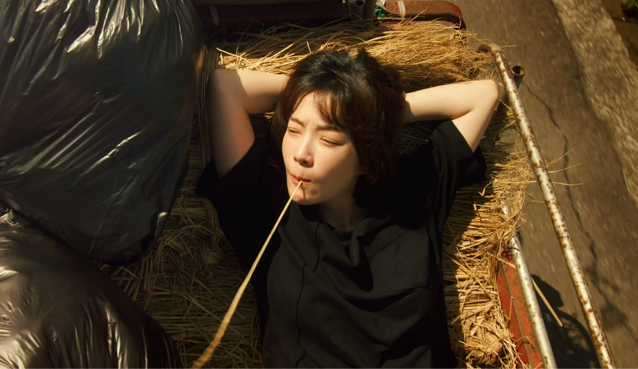 4剧情:落魄女外科医生的重新崛起主演:蔡淑臻,朱轩洋,汤致伟,杨丽音