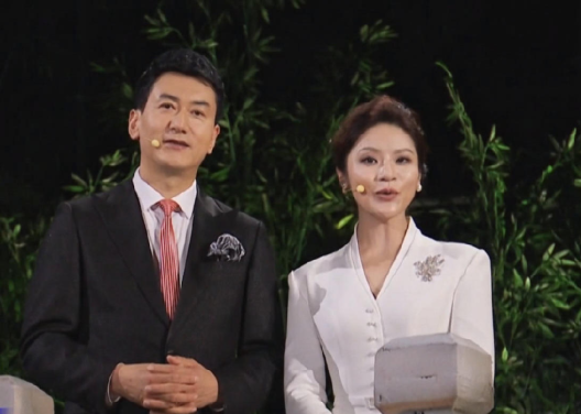 和其他优秀的女主持人一样,孟盛楠也有很多亮眼的成绩,是一个颜值和