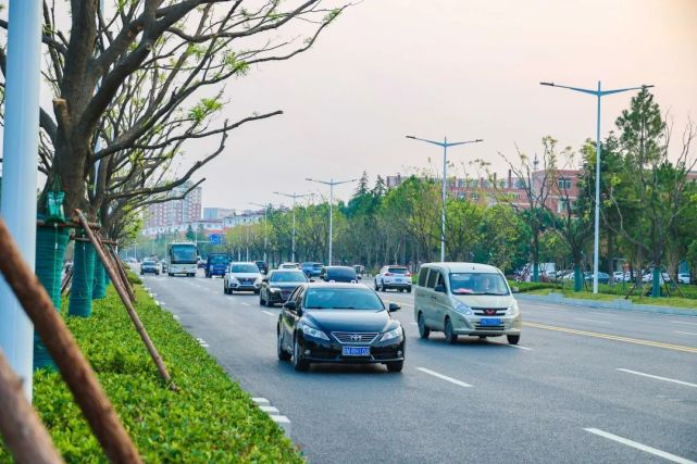 沭阳台州路通车现场