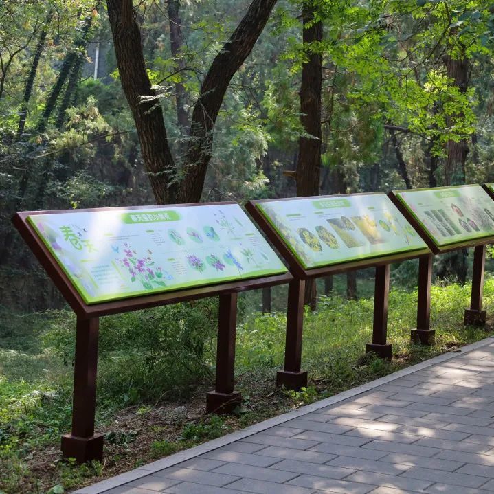 在通往科普小屋的主干道旁,以春,夏,秋,冬为主题,设置了四组科普牌示
