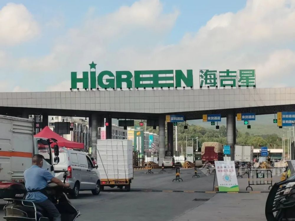 菜价如何柳州海吉星恢复批发交易首日探访