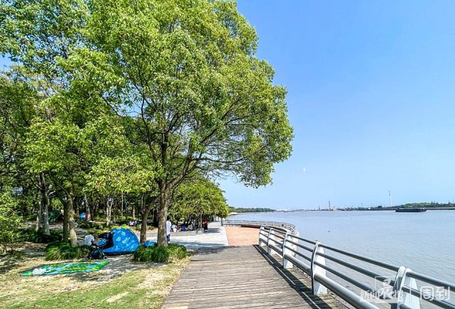 浦江第一湾公园,搭帐篷,看江景,吹江风,过个惬意假期|晨镜头