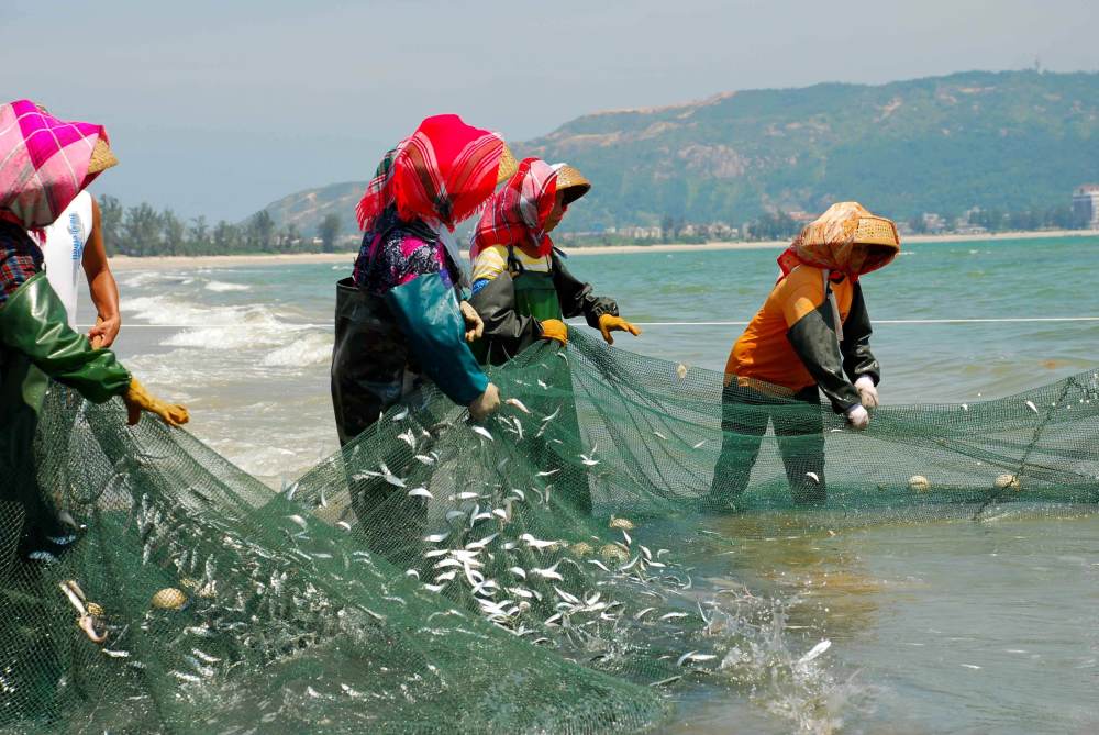 中國過度捕撈搶奪別國漁業資源