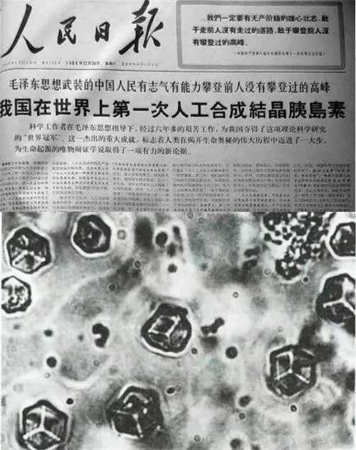 我国人工合成牛胰岛素结晶为何未获诺贝尔化学奖?