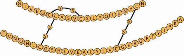 我国人工合成牛胰岛素结晶为何未获诺贝尔化学奖?