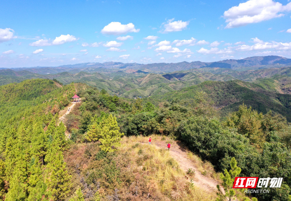 湖南祁东:割灌除草 筑牢森林防火"安全网"_腾讯新闻