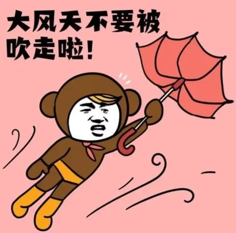 大风蓝色预警信号,寒潮亮招了!