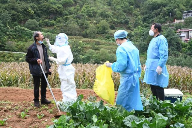 田里做核酸图片