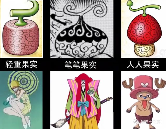 抹去一直隐瞒着这个名字,被世人认为是超人系,其实属于恶魔果实动物系