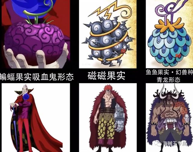 海贼王恶魔果实大公开,你能认出几个?