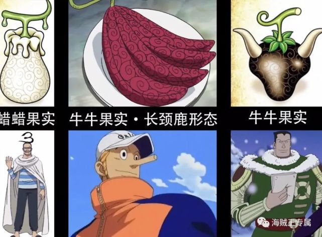 抹去一直隐瞒着这个名字,被世人认为是超人系,其实属于恶魔果实动物系