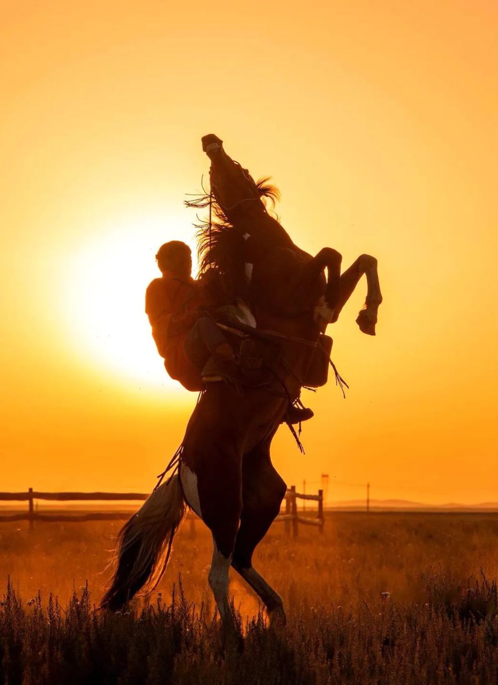 力量与唯美～等你来!神骏世界_腾讯新闻