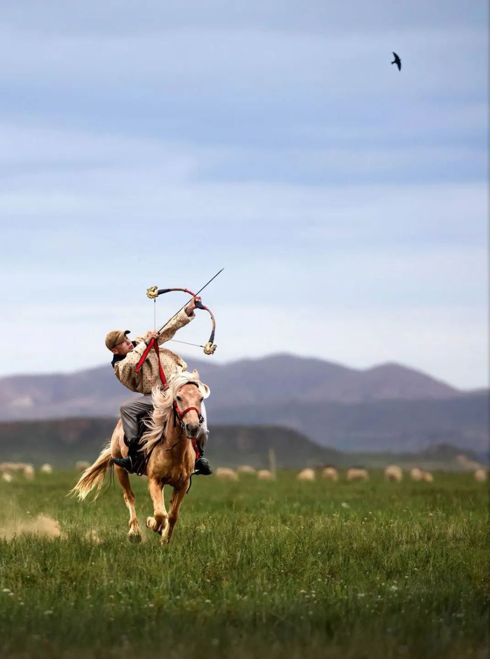 力量与唯美～等你来!神骏世界_腾讯新闻