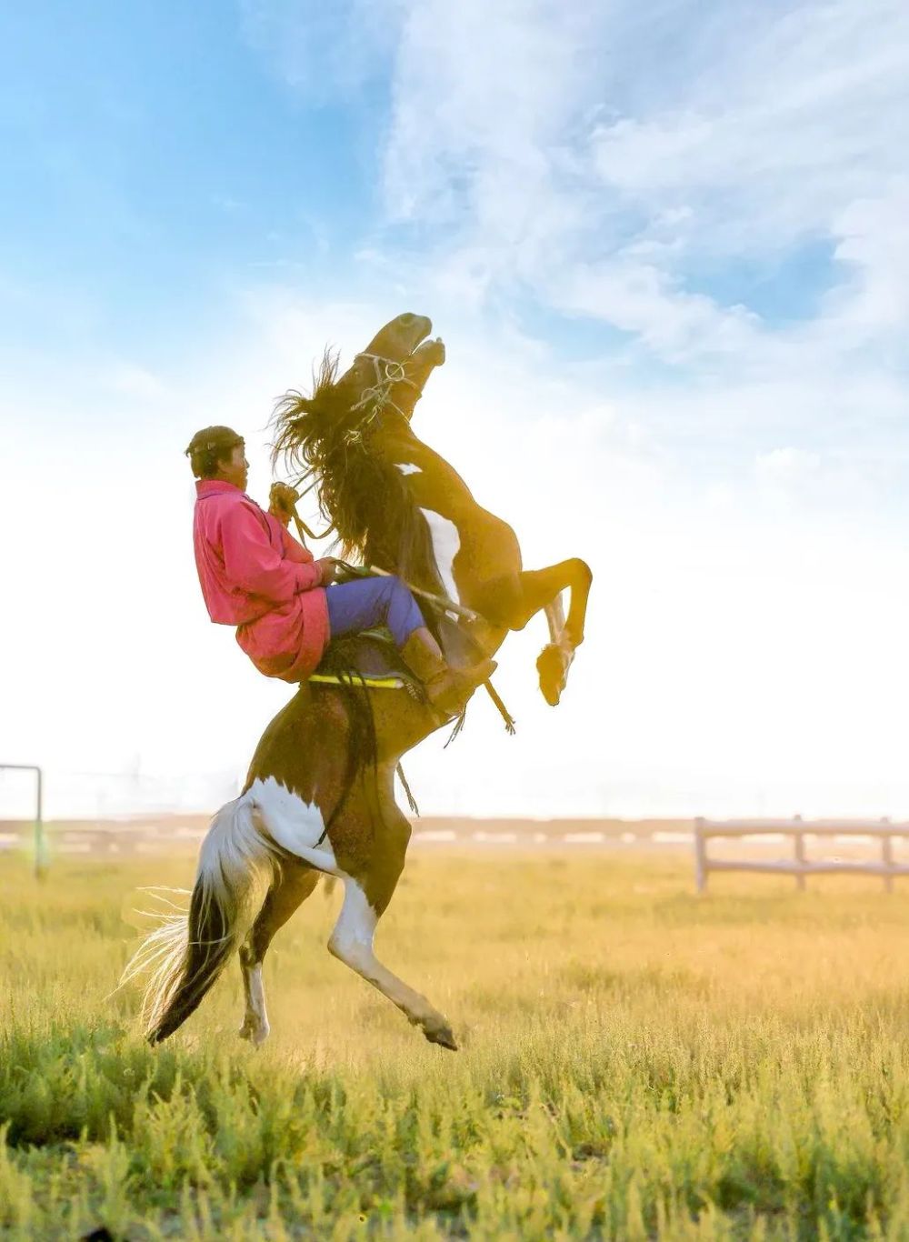 力量与唯美～等你来!神骏世界_腾讯新闻