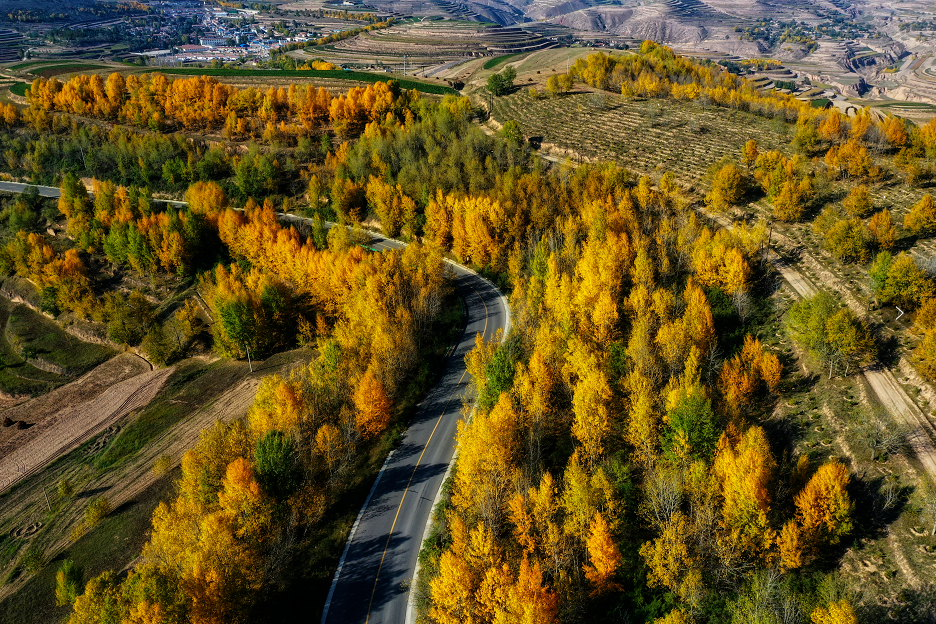 【融媒集萃】秋日的定西层林尽染叠翠流金