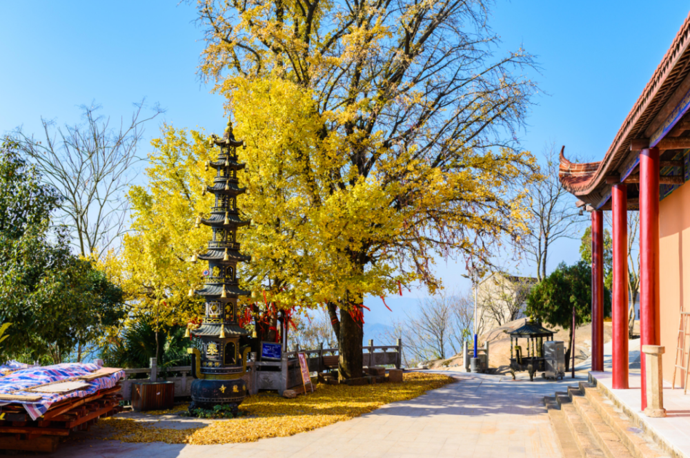 郎溪的金秋美景,无需滤镜都美醉!