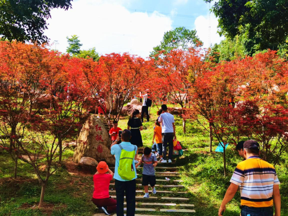 帽峰山红叶最佳观赏期图片