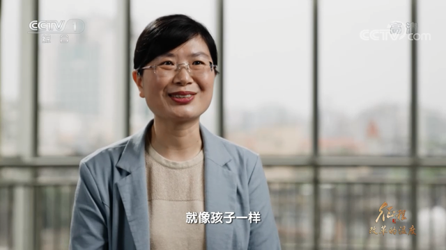 “灵魂砍价”张劲妮，首次披露心路历程_腾讯新闻