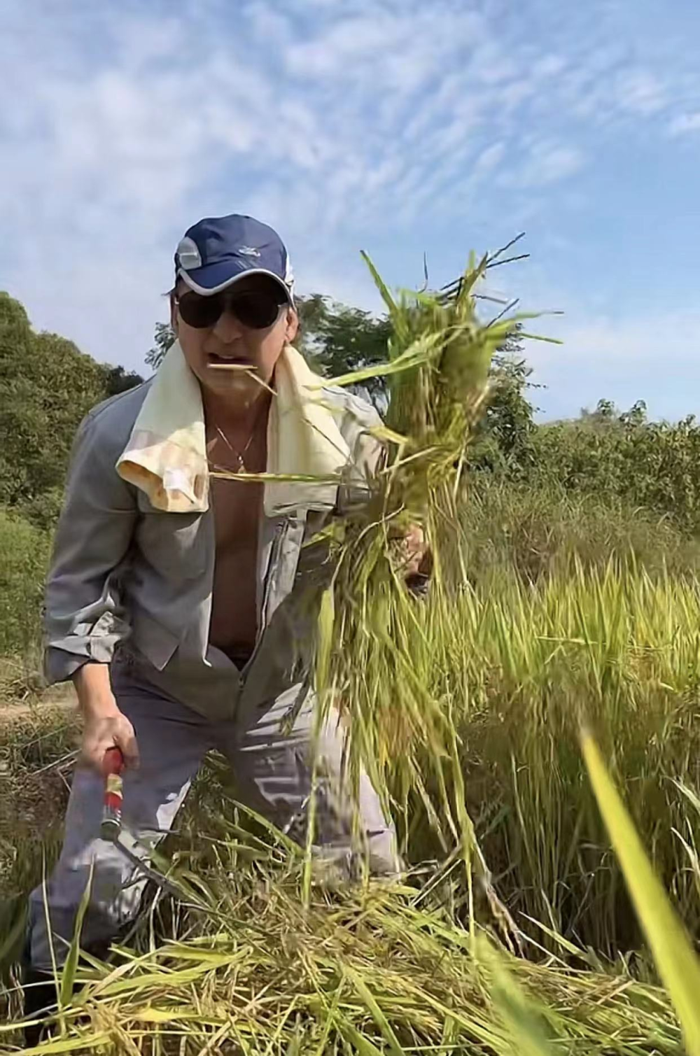 曹荣肌肉图片