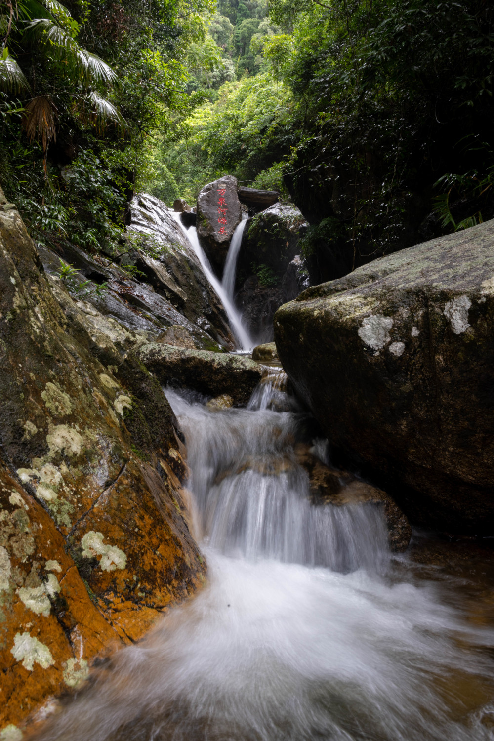 (江河奔腾看中国)海岛名片万泉河_腾讯新闻