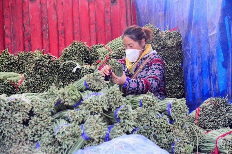 节假日期间北京新发地市场蔬菜供求基本平衡初二下册英语课本单词
