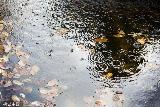 一场秋雨一场寒，47句描写秋雨的诗词，让人美到心醉_腾讯新闻