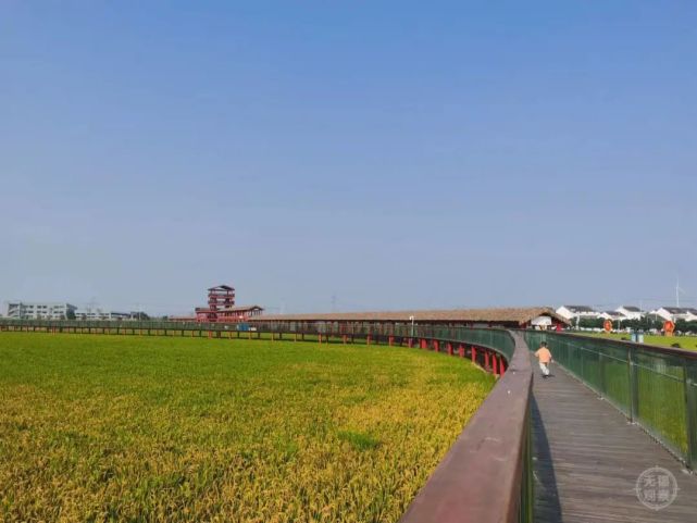 宜兴美丽乡村成热门打卡点,来感受不一般的美