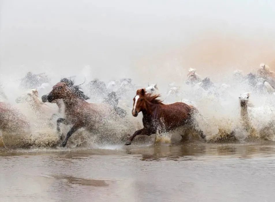 风驰电掣～_腾讯新闻