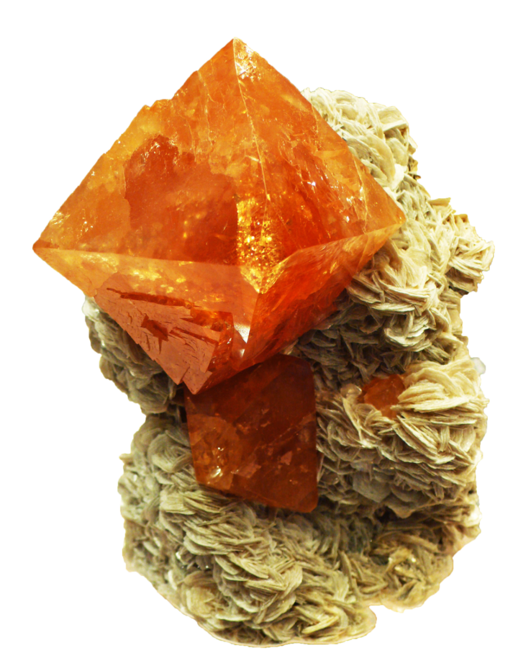 大自然的橙色诱惑