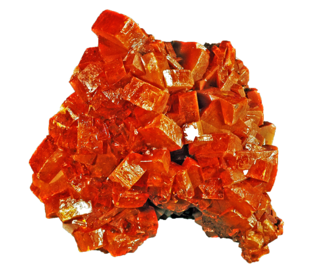 大自然的橙色诱惑