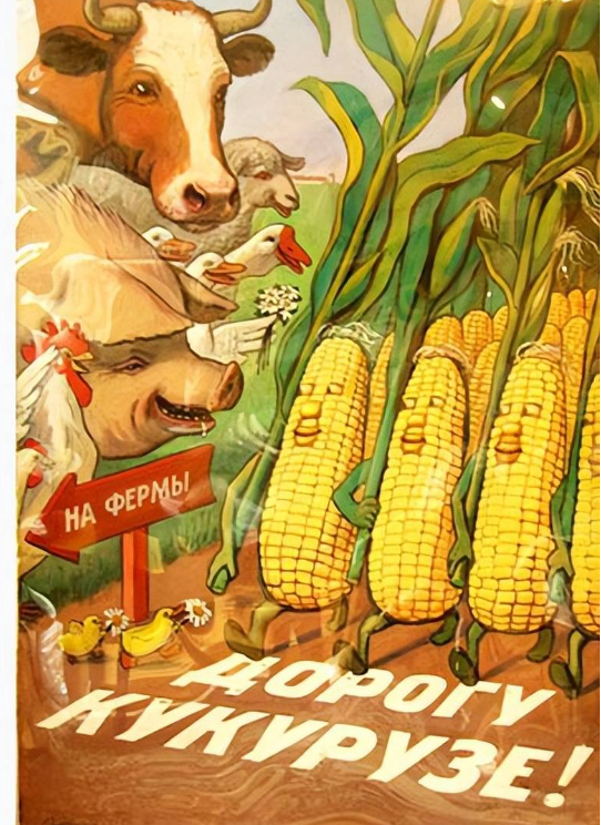 有了玉米,啥都有了就这样在哈萨克也出现了大量的玉米地,因为玉米