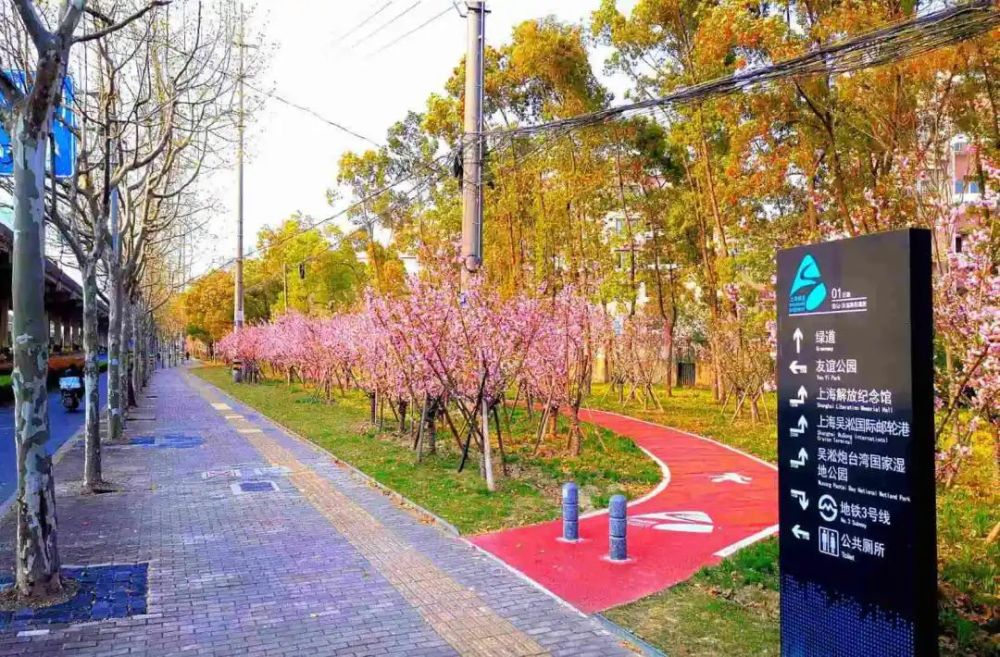 先后创建友谊路,永乐路,潘泾路,陆翔路4条市级绿化特色道路,创建5条