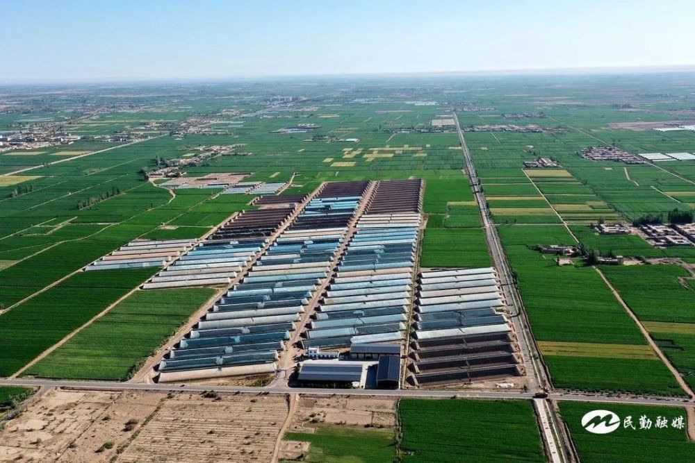 【奋进新征程 建功新时代】民勤县东坝镇:支部建在产业上 党员服务