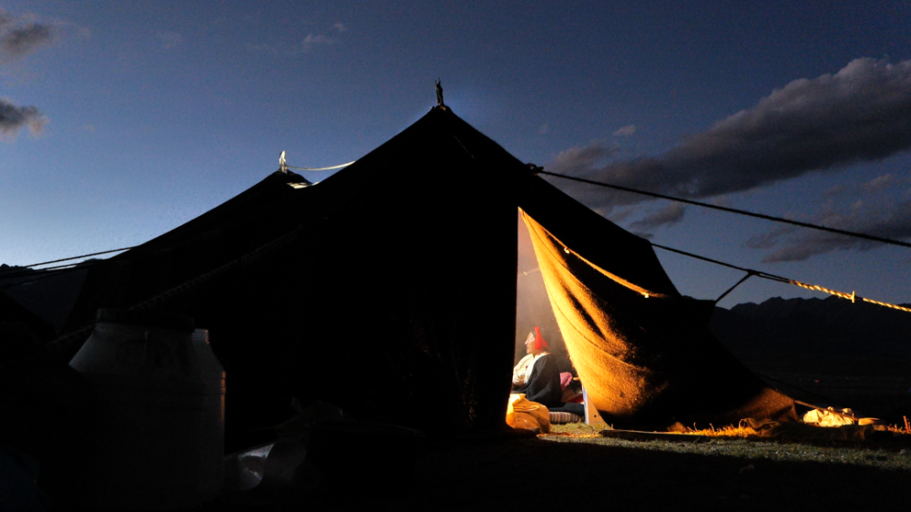 傍晚的草原在落日的映照下尽显温柔,黑帐篷顶上袅袅升起的炊烟,草地上