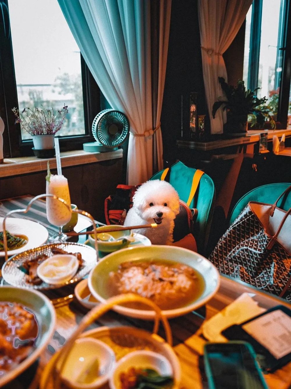 北京宠物主题餐厅图片