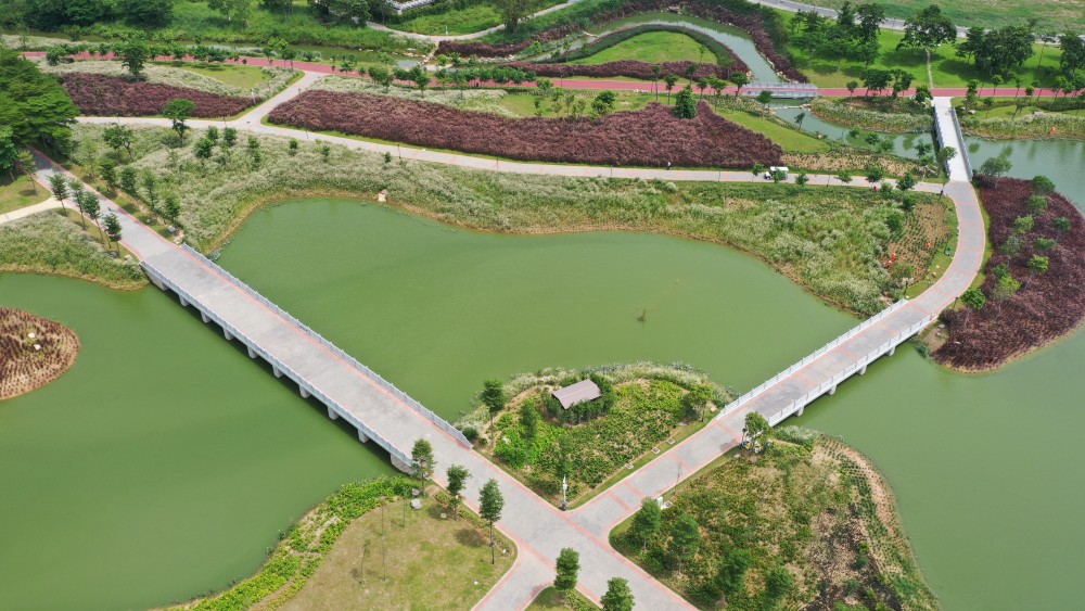 深圳石岩湖绿道图片
