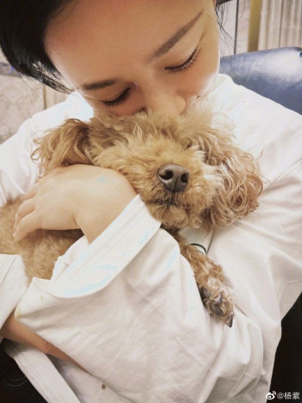 杨紫晒照分享国庆假期生活 怀抱狗狗亲密贴贴气质温柔