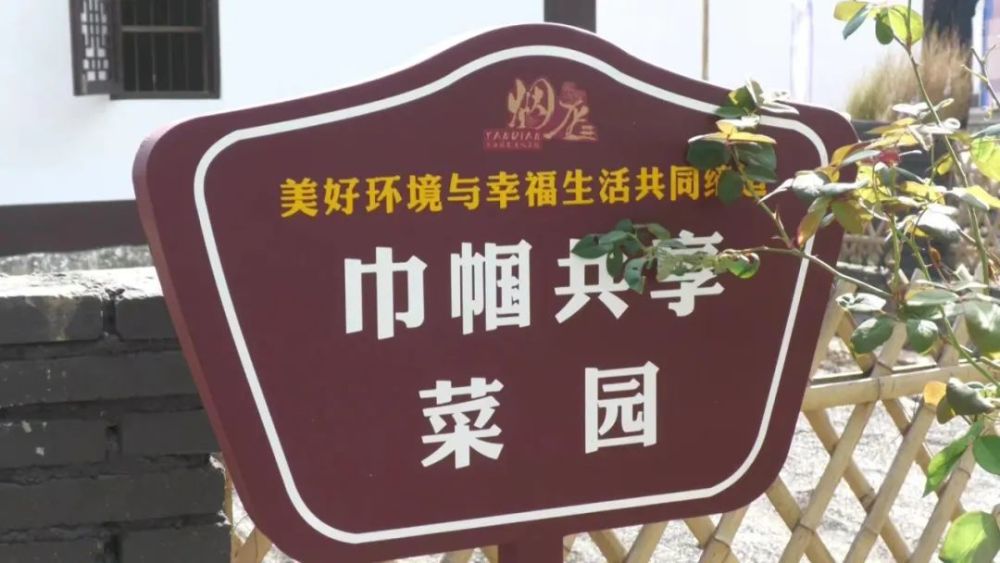 【共同缔造在行动】"共享菜园"缔造幸福家园_腾讯新闻