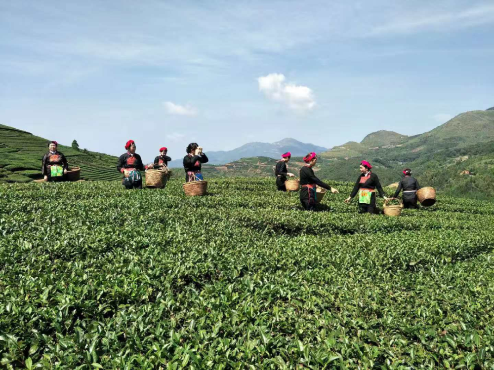 山明水秀——霞浦县水门乡湖里村