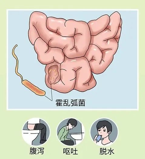 【卫生检疫】解读｜关于“霍乱”的防治知识_腾讯新闻