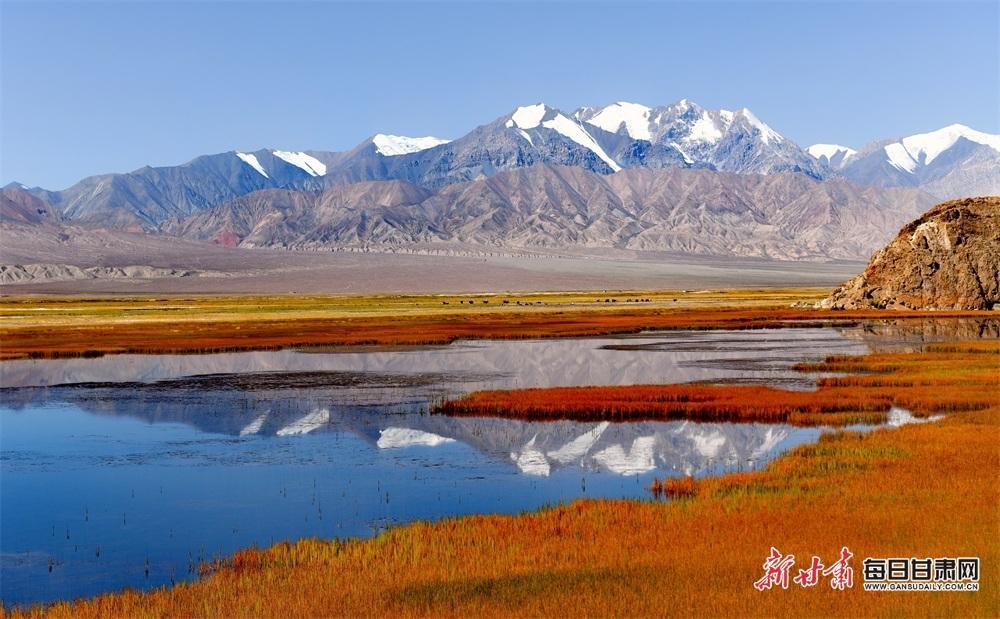 新甘肃·每日甘肃网通讯员 戴友春 摄影报道金秋十月,位于酒泉市肃北