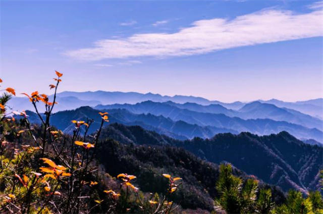 晚秋秋晴美诗五首赏读 雨洗秋空明似水 秋晴未必减春晴 腾讯新闻