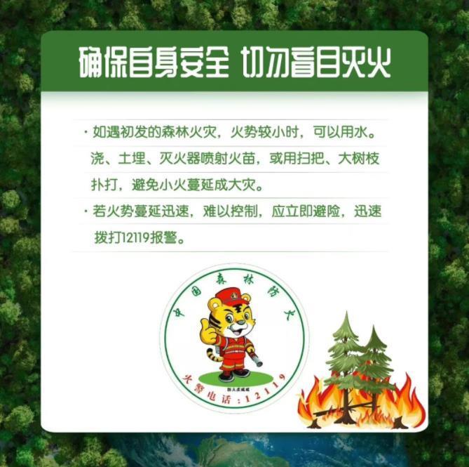 王思聪旗下熊猫互娱破产拍卖3100万，上海破产法庭去年网拍成交超30亿强盗逻辑